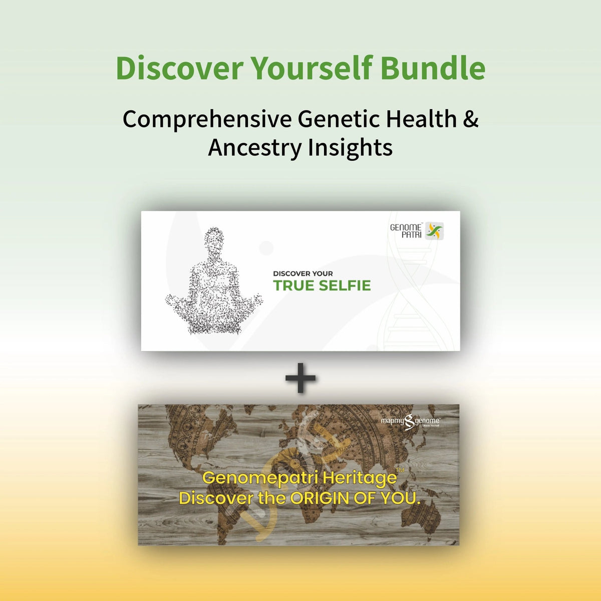 Discover Yourself - Genomepatri and Genomepatri Heritage Bundle - Mapmygenome