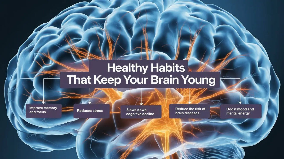 10 Healthy Habits That Keep Your Brain Young - Mapmygenome