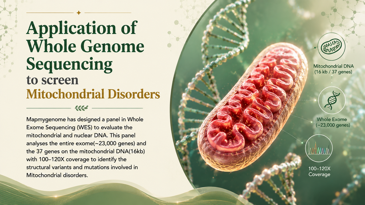 Application of Whole Genome Sequencing to screen Mitochondrial Disorders