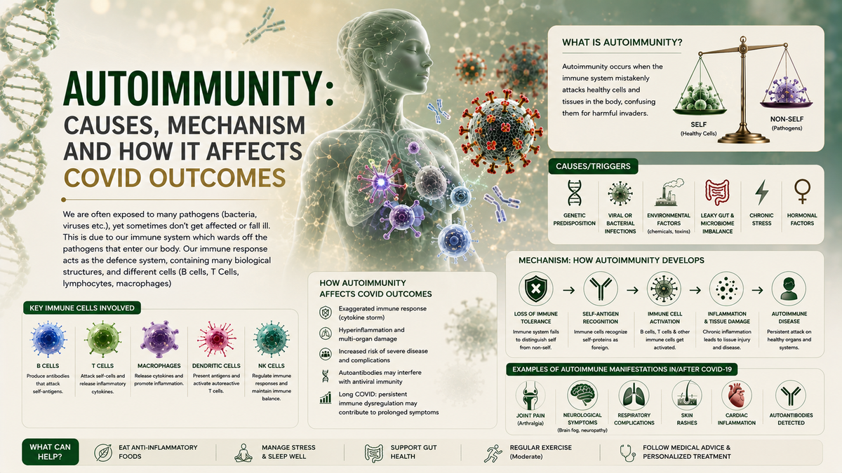 AutoimmuMechanism_and_how_it_affects_COVID_outcomes