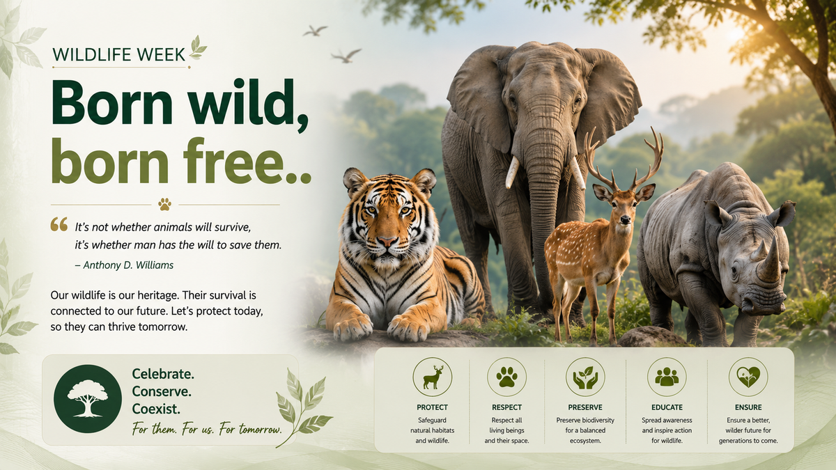 Born wild, born free: protect wildlife