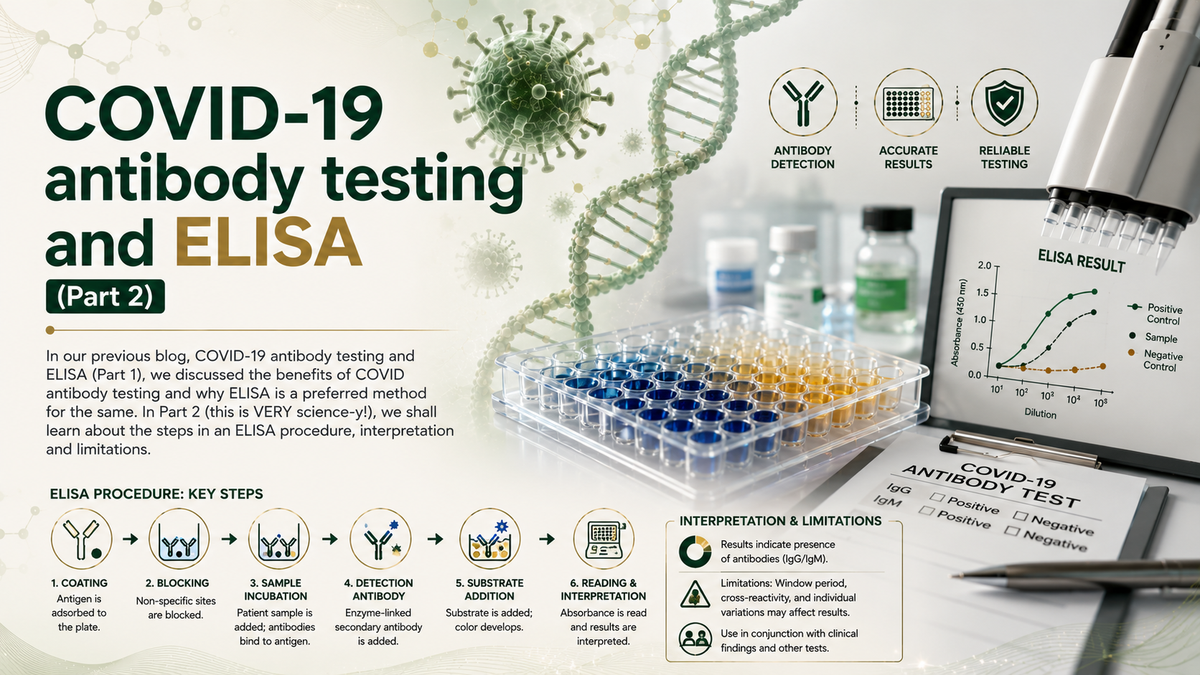 COVID_19_antibody_testing_and_ELISA