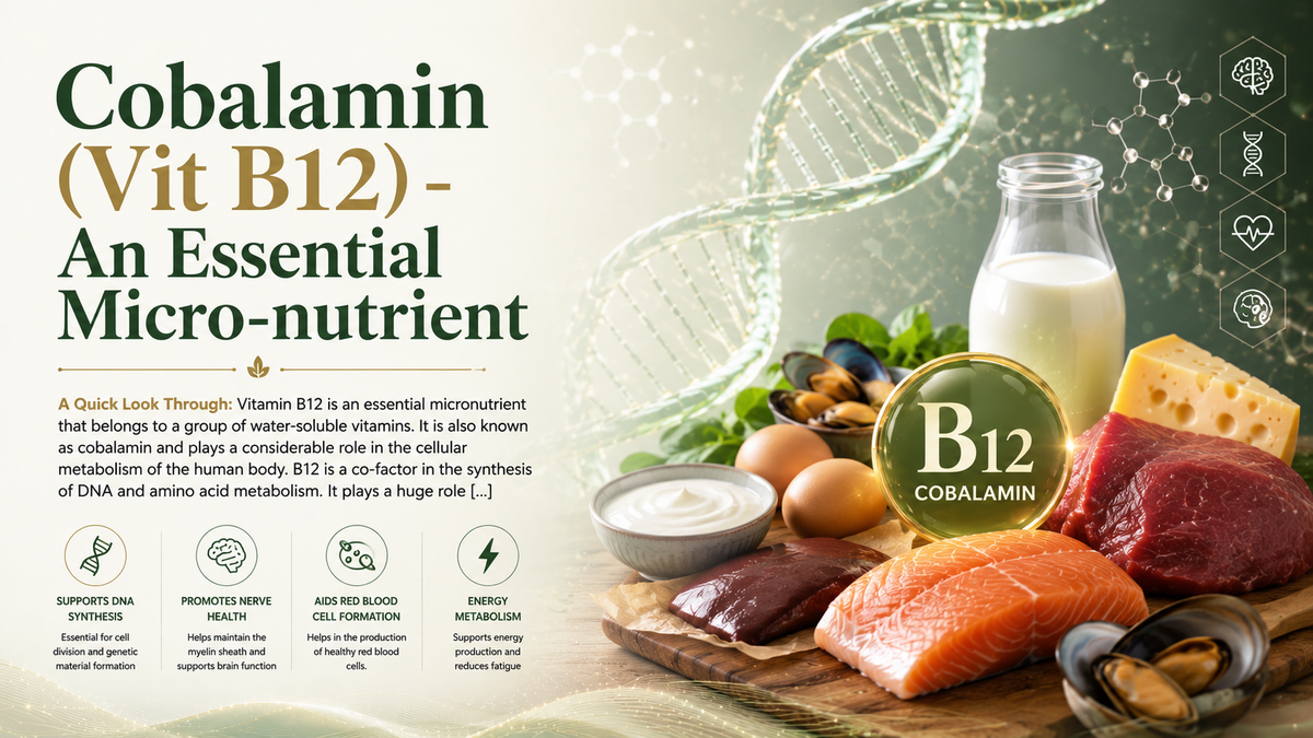 Cobalamin Vit B12