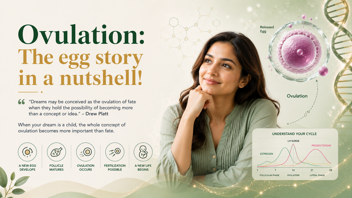 Ovulation and the cycle of life