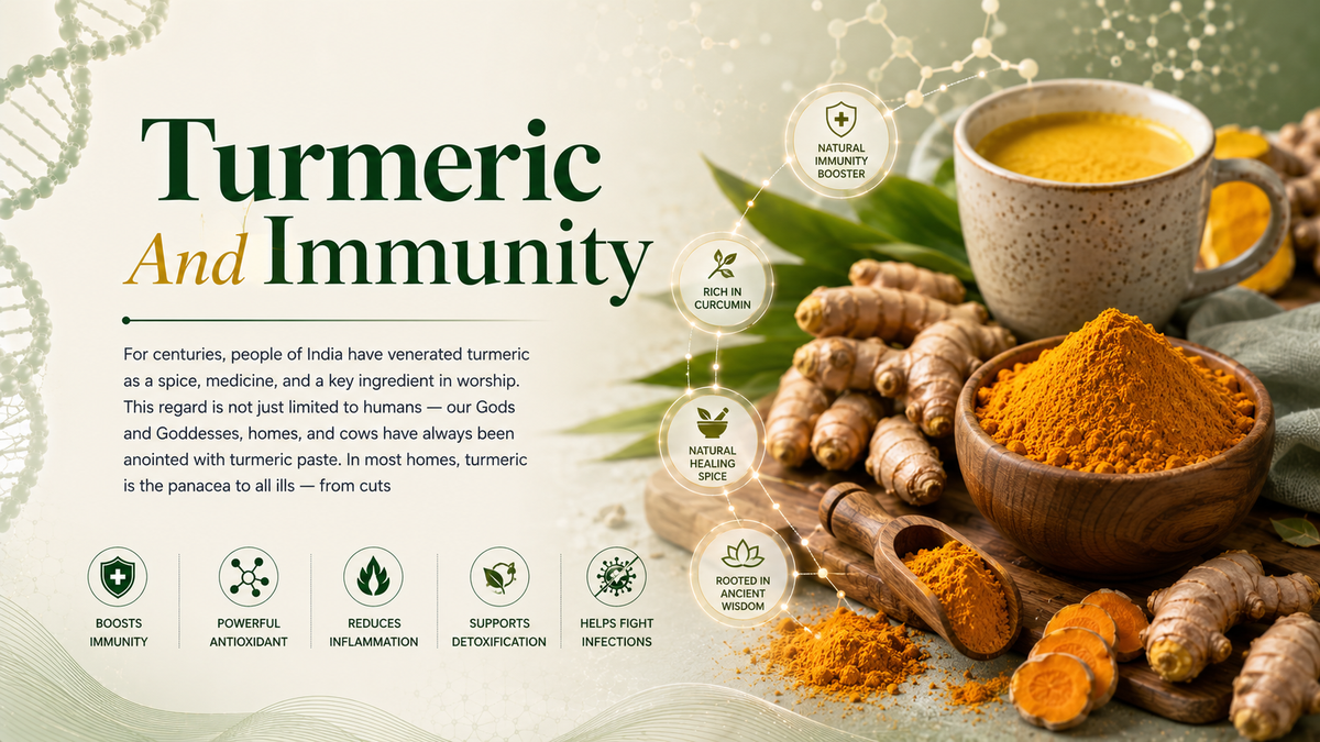 Turmeric_And_Immunity