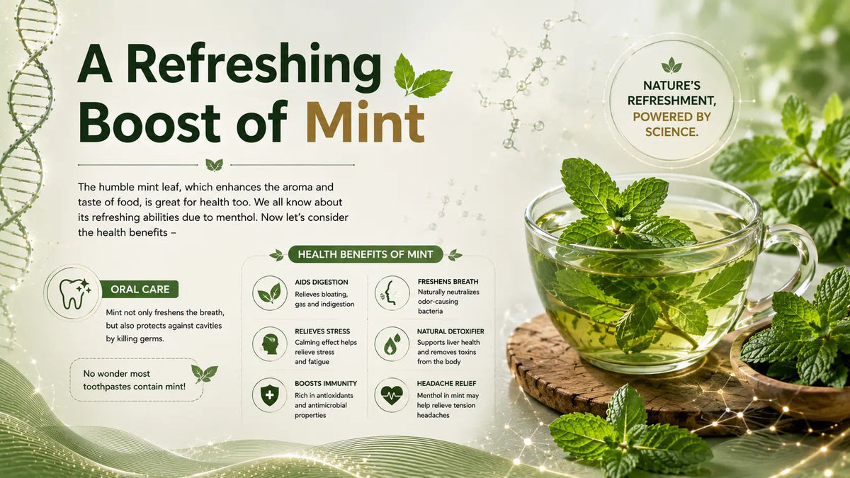 A Refreshing Boost of Mint - Mapmygenome