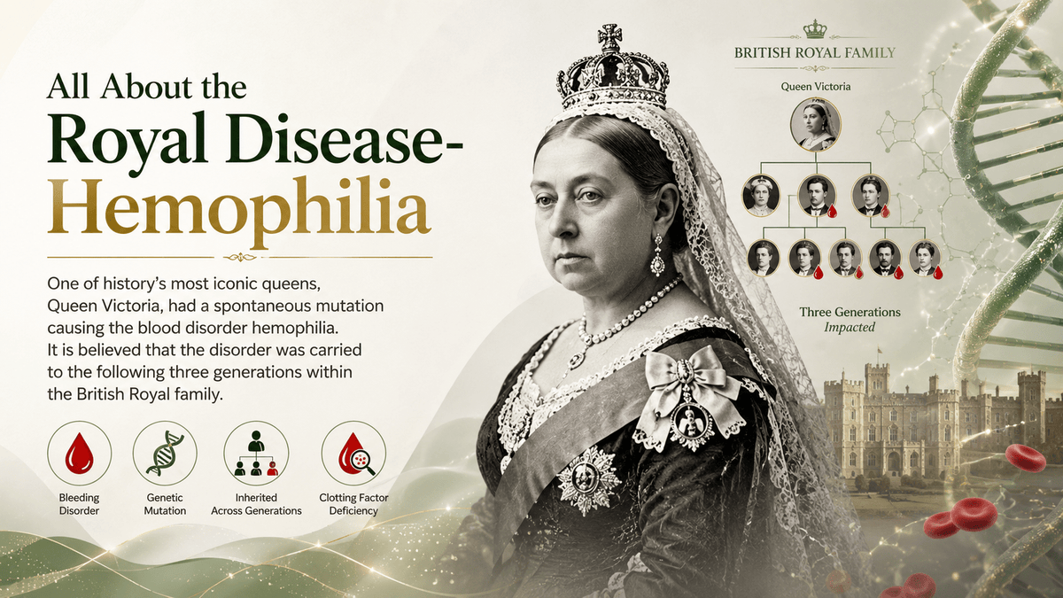 All About the Royal Disease- Hemophilia - Mapmygenome