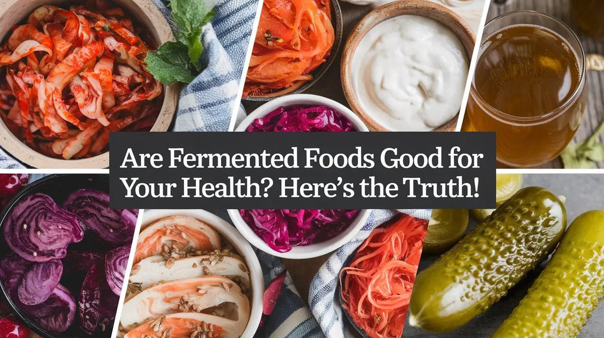 Are Fermented Foods Good for Your Health? Here's the Truth! - Mapmygenome