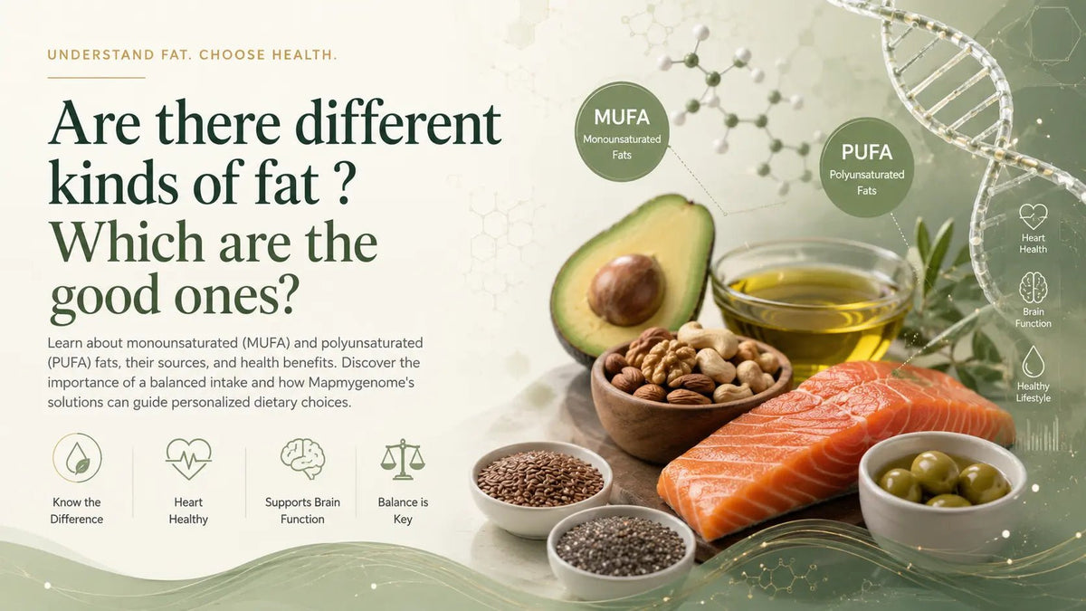 Are there different kinds of fat? Which are the good ones? - Mapmygenome