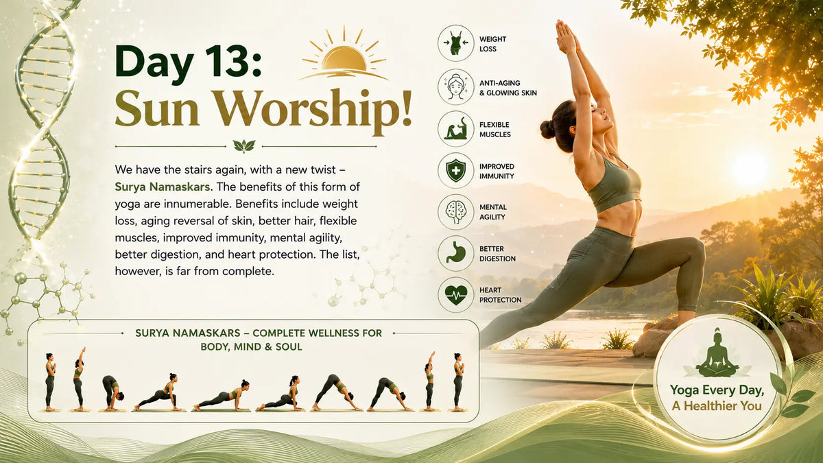 Day 13: Sun Worship! - Mapmygenome