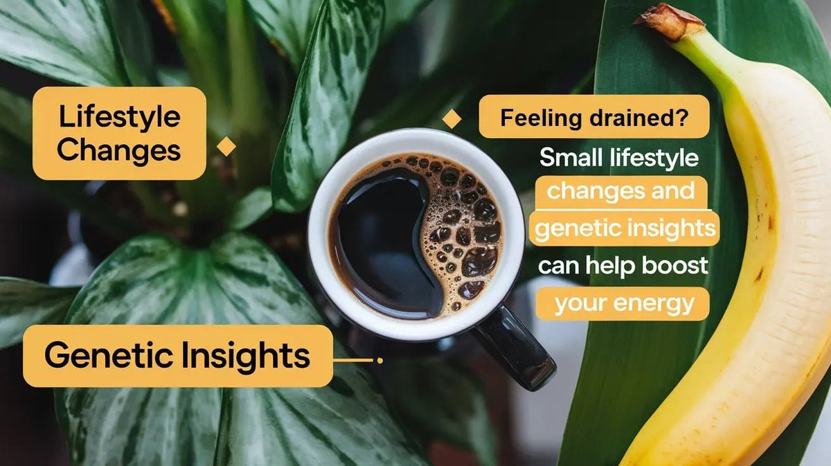 Feeling Drained? Small Lifestyle Changes and Genetic Insights Can Help Boost Your Energy - Mapmygenome