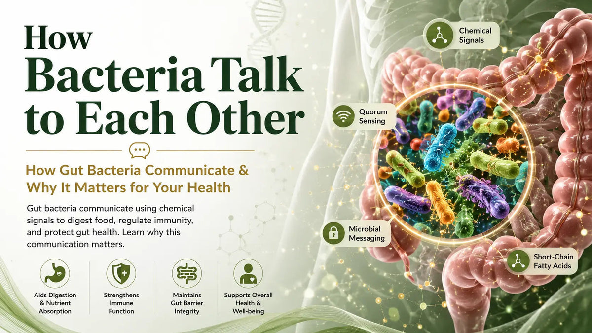 How Bacteria Talk to Each How Gut Bacteria Communicate & Why It Matters for Your Health - Mapmygenome