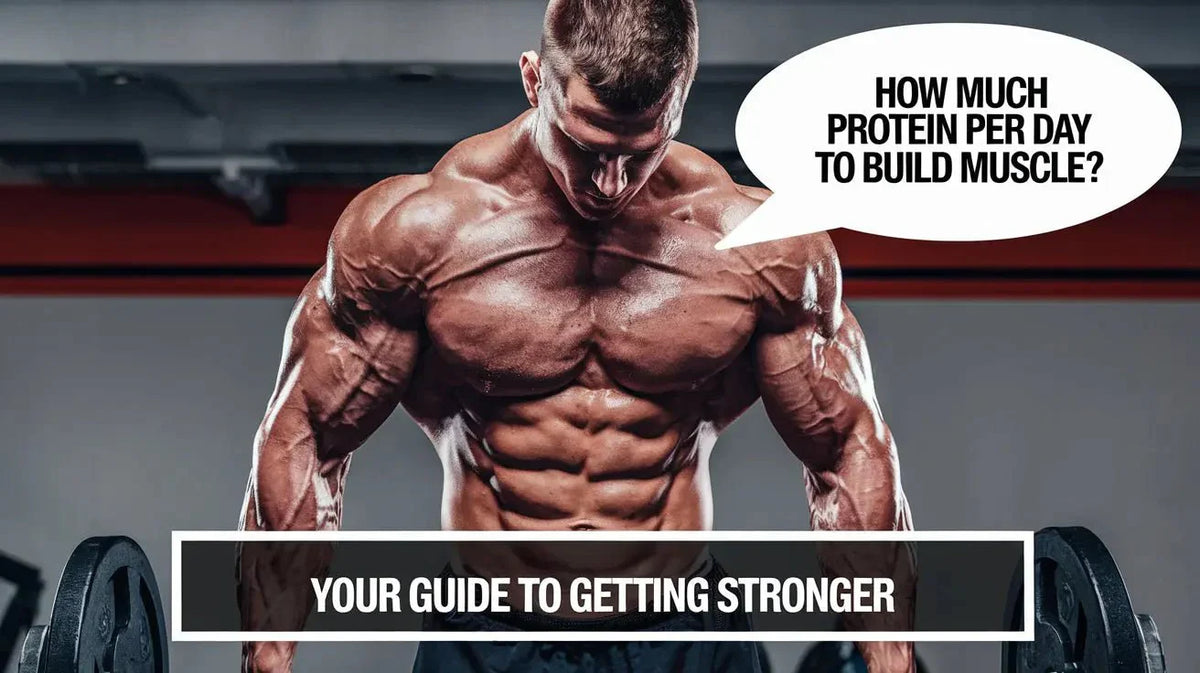 How Much Protein Per Day to Build Muscle? Your Guide to Getting Stronger - Mapmygenome