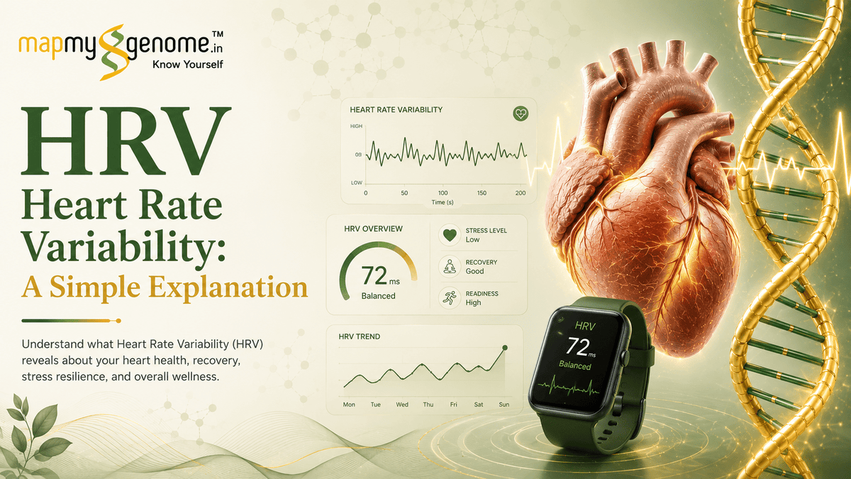 HRV heart rate variability: A simple explanation - Mapmygenome