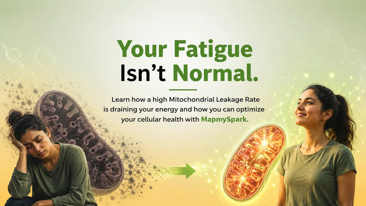 Leakage Rate: The Energy Crisis Secret - Mapmygenome