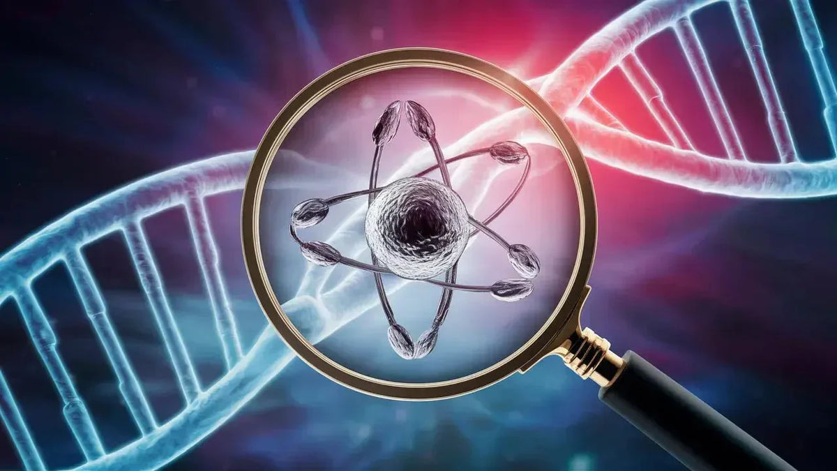 Magnesium : The Essential Mineral Decoded by Your Genes - Mapmygenome