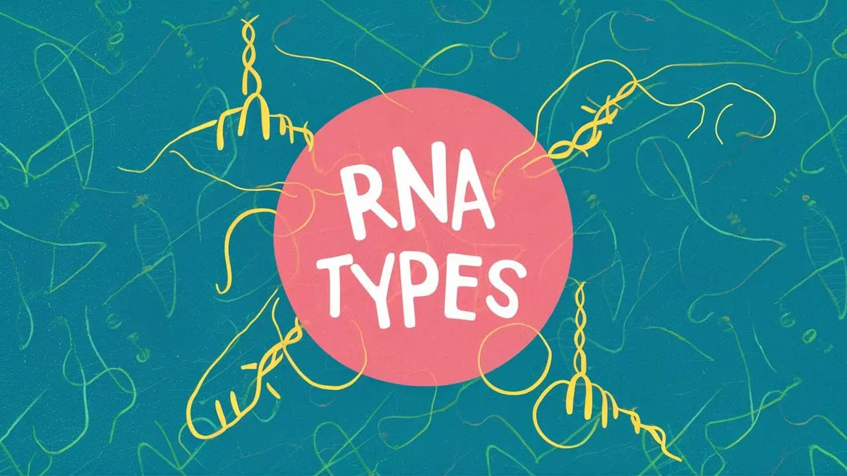 RNA: The Unsung Heroes of Your Cells – A Playful Guide to Names, Genes, Lifestyle & Their Discoverers - Mapmygenome