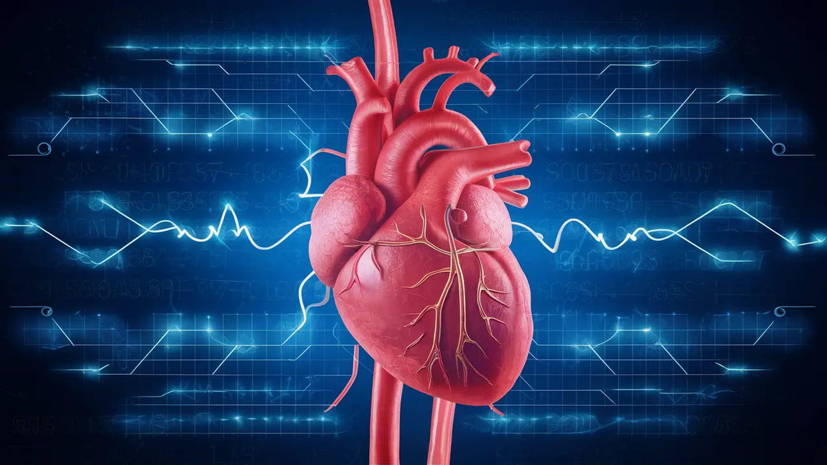 The Heart of the Matter: Decoding Cardiovascular Health in the Era of Personalized Medicine and Wearable Tech - Mapmygenome