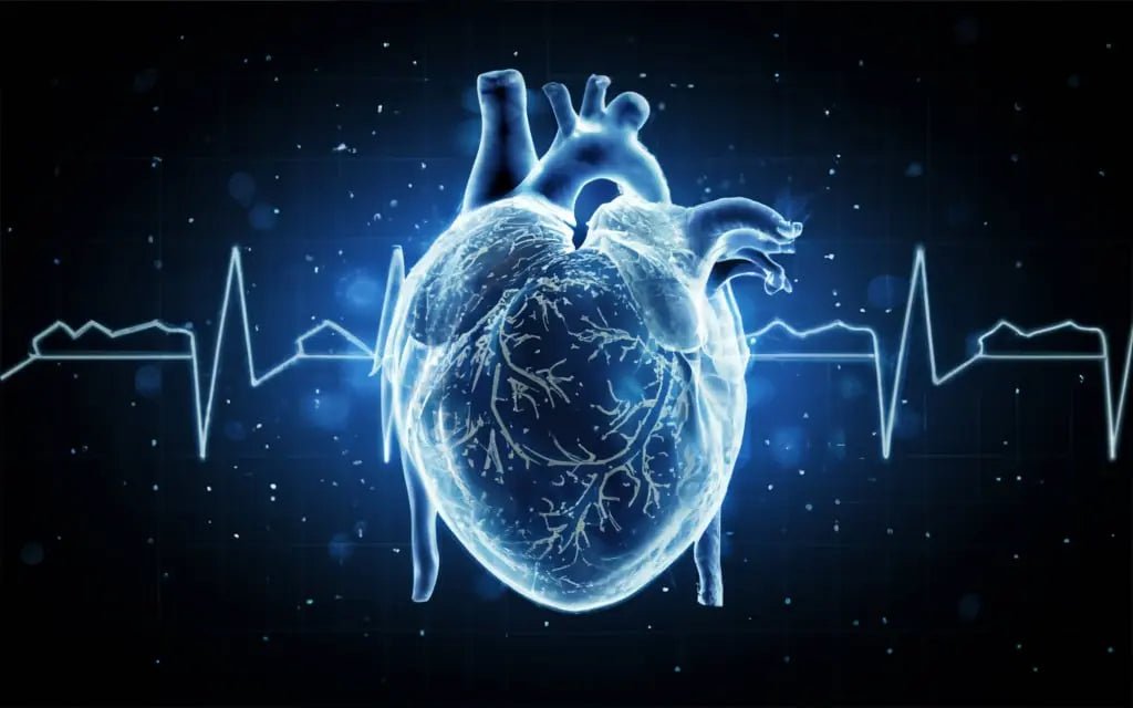 The Role of Genetics in Heart Disease - Can You Predict Your Risk - Mapmygenome
