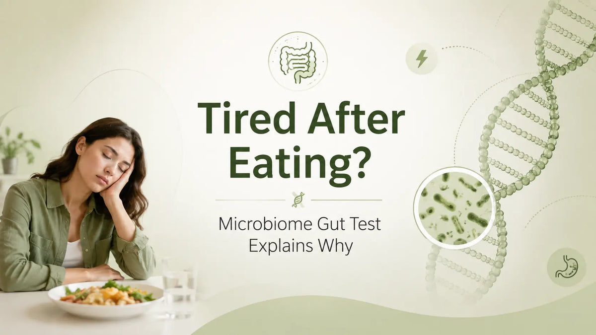 Tired After Eating? Microbiome Gut Test Explains Why - Mapmygenome