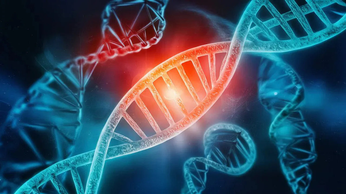 Understanding Genetic Testing: Your Gateway to Personalized Health and Wellness - Mapmygenome