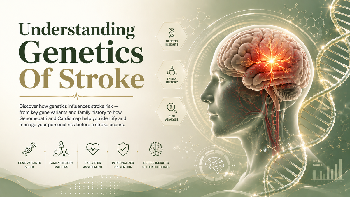 Understanding Genetics Of Stroke