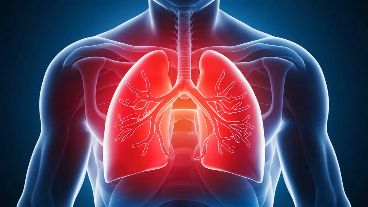 Understanding Lung Cancer - Causes, Treatments, and Genetic Testing with Genomepatri - Mapmygenome