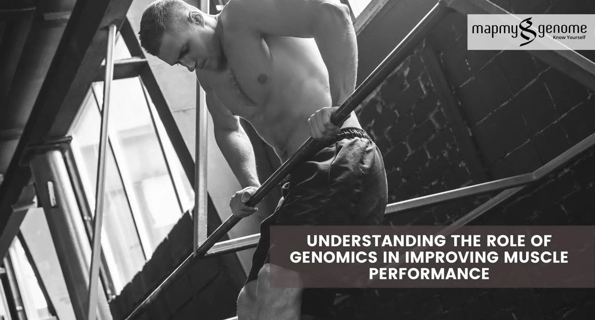 Understanding The Role of Genomics in Improving Muscle Performance - Mapmygenome