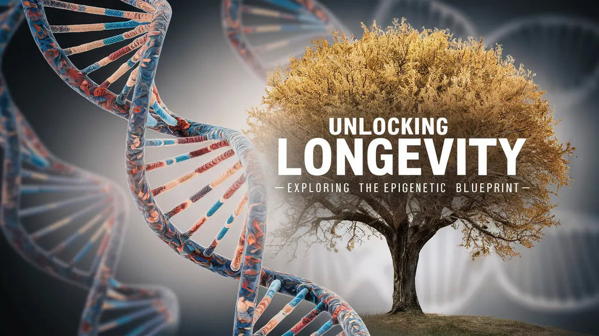 Unlocking Longevity : Exploring the Epigenetic Blueprint - Mapmygenome