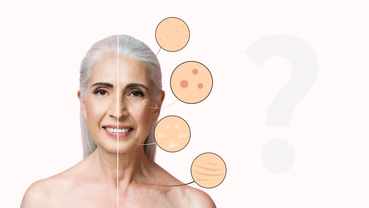 Why Do We Age? A Simplistic View of the New Hallmarks of Aging - Mapmygenome