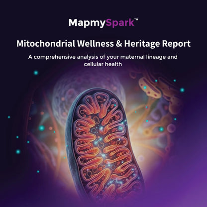 MapmySpark - The Mitochondrial Wellness &amp; Heritage Report - Mapmygenome
